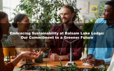 Embracing Sustainability at Balsam Lake Lodge: Our Commitment to a Greener Future