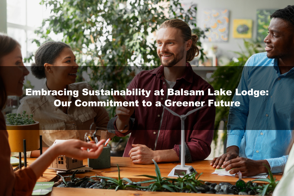 Embracing Sustainability at Balsam Lake Lodge: Our Commitment to a Greener Future